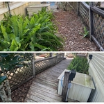 Seasonal and Storm cleanup