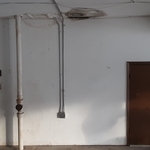 Visible Mold Growth