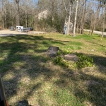 This was the aftermath after we cut down the tree by the front yard. Also customer wants us to come back next week to stump grind the trees we cut down