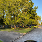 The front yard before and after