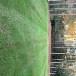 Lawn services