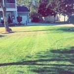 Lawn services