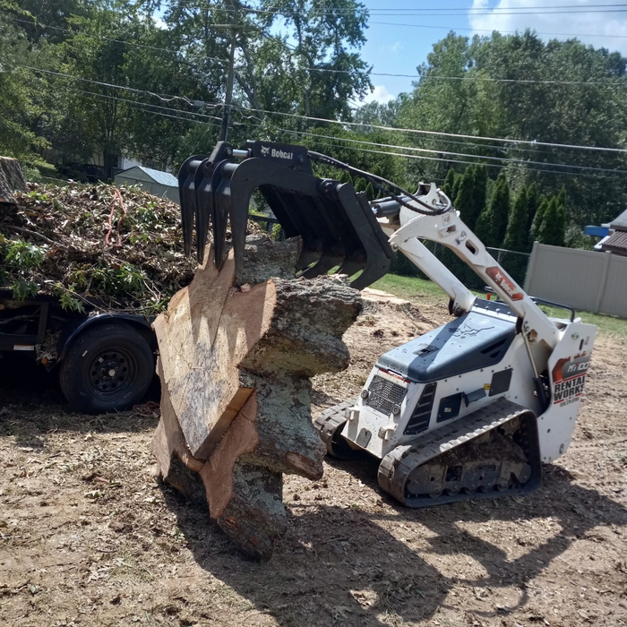 Additional Photos