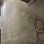Carpet Cleaning Project