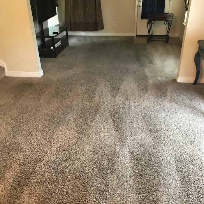 Carpet Cleaning Project
