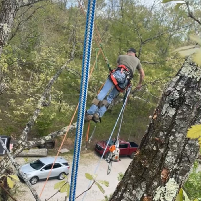 Tree Service Project
