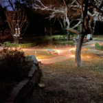 Backyard phase 1