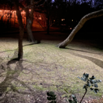 Backyard phase 1