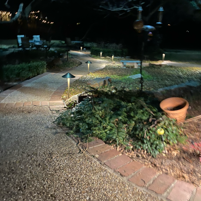 Backyard phase 1