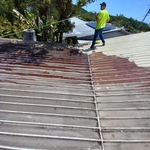 Roof cleaning