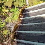 Roof restoration