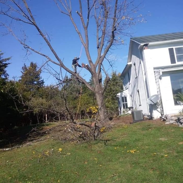 Additional Photos