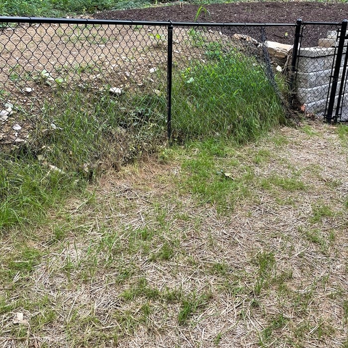 Before retaining wall.