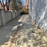 Pressure wash for Mr. Fry