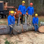 Tree Service Project