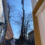 Tree Service Project