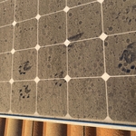 Solar Panels Project