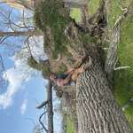 Storm work