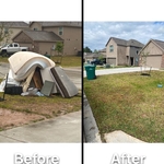 Yard clean
