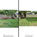 Remove fence and tree limbs