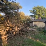 Tree Service Project