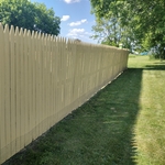 House pressure wash and fence repair/painting