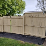 House pressure wash and fence repair/painting