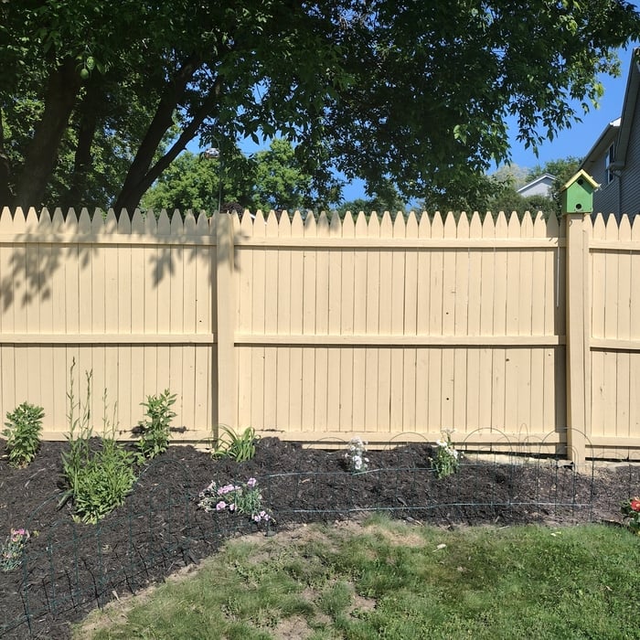 House pressure wash and fence repair/painting