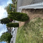 Lawn & Yard Work Project