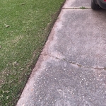 Lawn & Yard Work Project