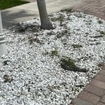 Tree service/ weed killer spray