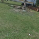 Lawn & Yard Work Project