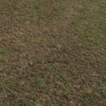 Lawn & Yard Work Project