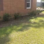 Lawn & Yard Work Project
