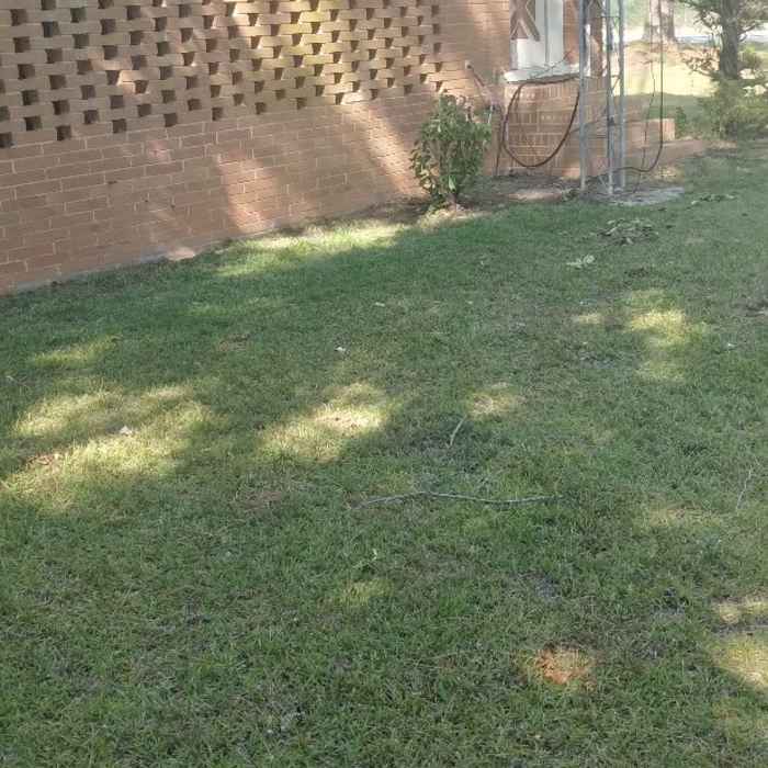 Lawn & Yard Work Project