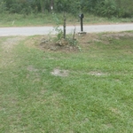 Lawn and Yard Work