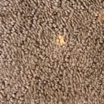 Bleached spot repair caused by pool chemical