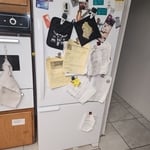 Appliance Repair - Large Project