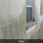 Pressure Washing Project