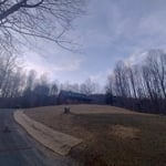 Tree cleanup and lawn regrading