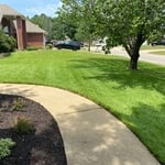 Landscaping Project
