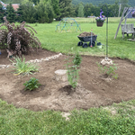 Gardening