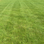 Mowing
