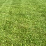 Mowing