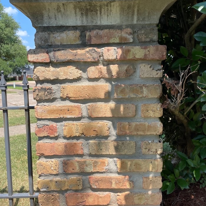 Pressure Washing Project
