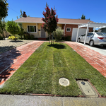 Rock, Sod, Irrigation installation