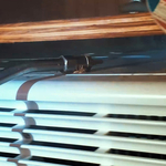 German Roaches can resist most treatment methods. However Pestguard's 31 years of experience is reliable and effective.