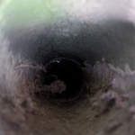 Dryer Vent Cleaning Project