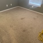 Before & afters!