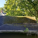 Pressure Washing Project